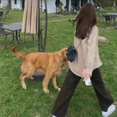 华灯初上第一季