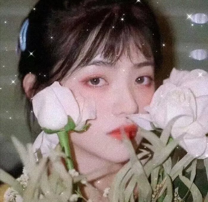 我的野蛮网友